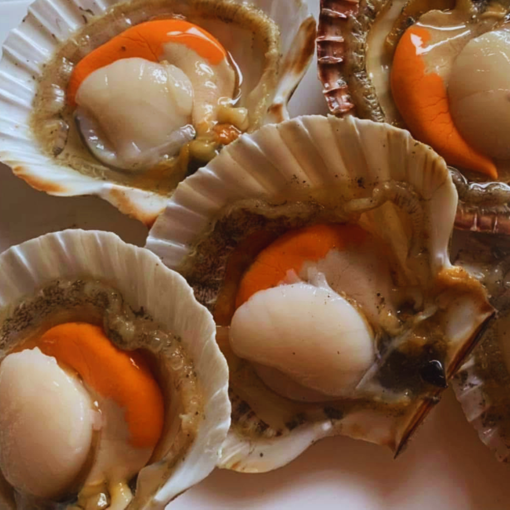 Fresh scallops for sale at SeaFresh NI in Groomsport near Bangor, Northern Ireland.